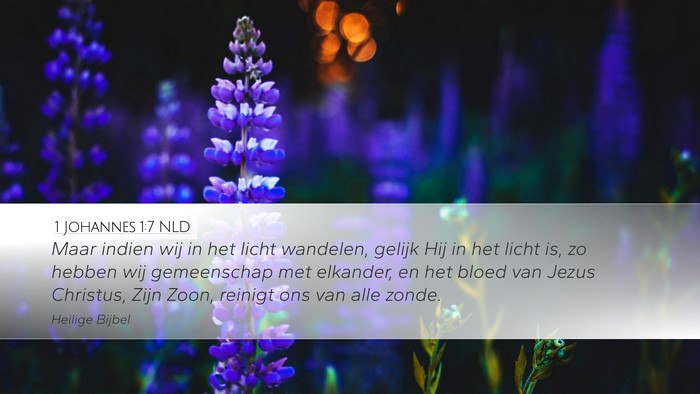 1 Johannes 1:7 NLD Bible Verse Image