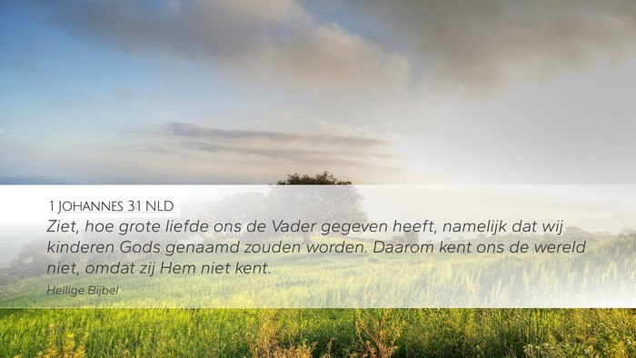 1 Johannes 3:1 NLD Bible Verse Image