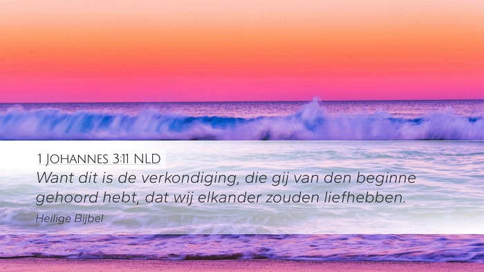 1 Johannes 3:11 NLD Bible Verse Image