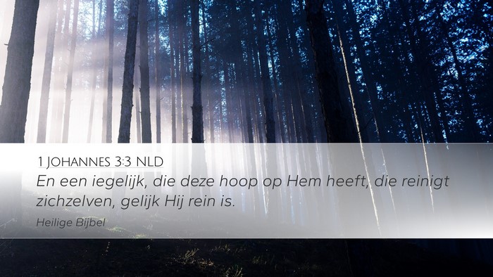1 Johannes 3:3 NLD Bible Verse Image