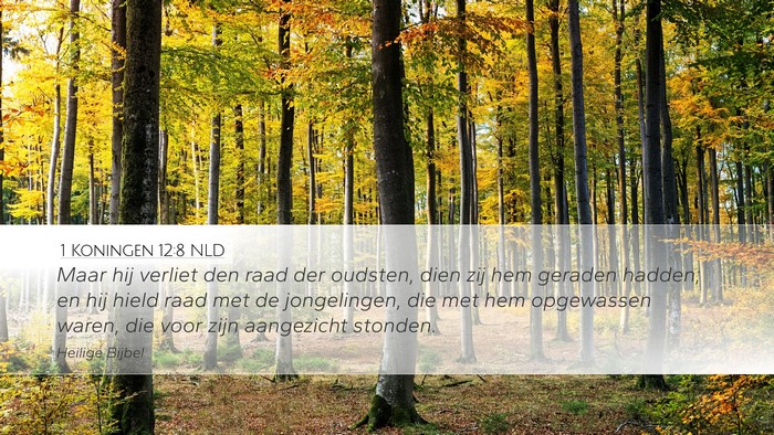 1 Koningen 12:8 NLD Desktop Wallpaper - Maar hij verliet den raad der oudsten, dien zij - Desktop Bible Verse Wallpaper
