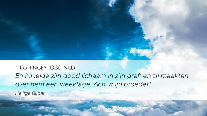 1 Koningen 13:30 NLD Bible Verse Image