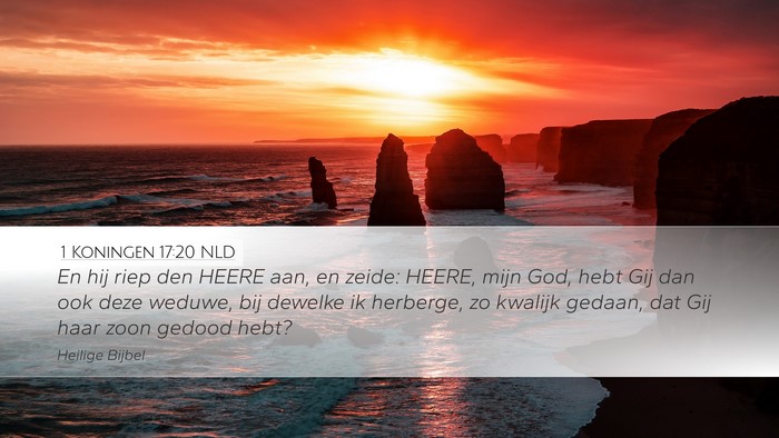 1 Koningen 17:20 NLD Bible Verse Image