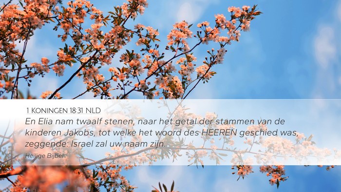 1 Koningen 18:31 NLD Bible Verse Image