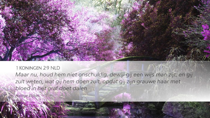 1 Koningen 2:9 NLD Bible Verse Image