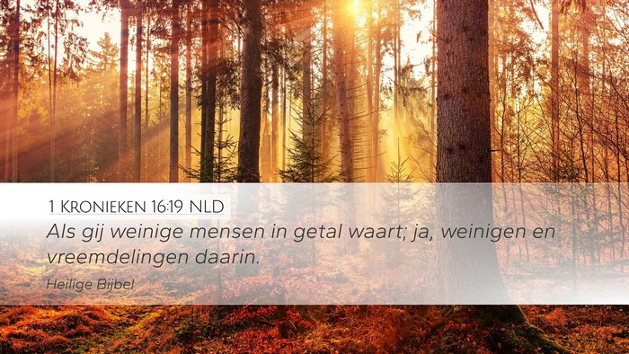1 Kronieken 16:19 NLD Bible Verse Image