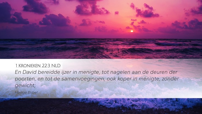 1 Kronieken 22:3 NLD Bible Verse Image