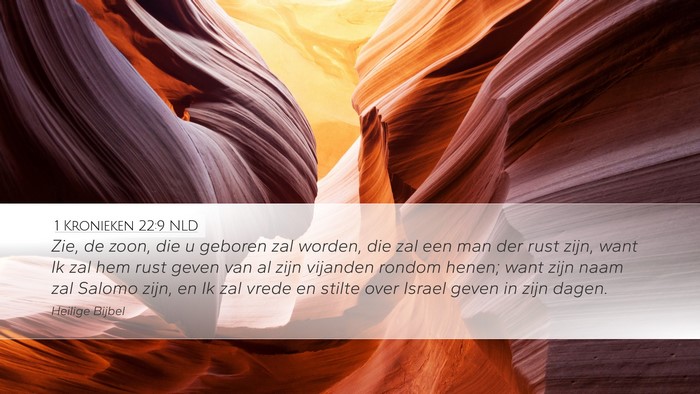 1 Kronieken 22:9 NLD Bible Verse Image