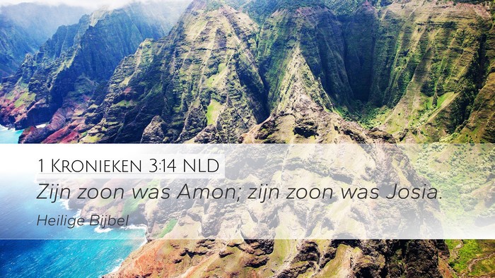 1 Kronieken 3:14 NLD Bible Verse Image
