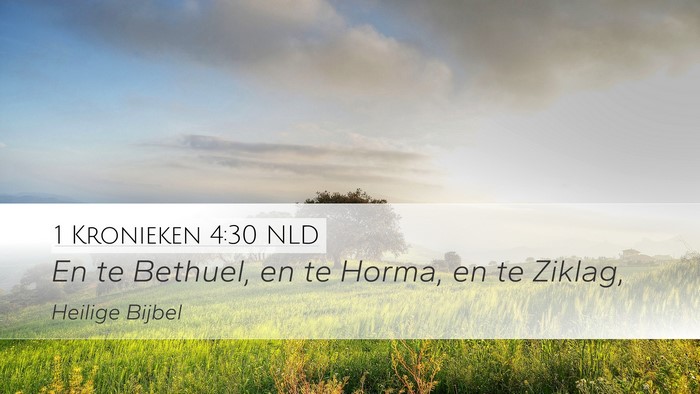 1 Kronieken 4:30 NLD Bible Verse Image