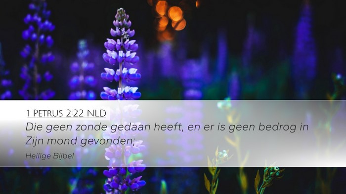1 Petrus 2:22 NLD Bible Verse Image