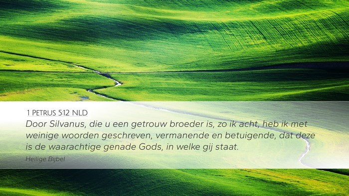 1 Petrus 5:12 NLD Desktop Wallpaper - Door Silvanus, die u een getrouw broeder is, zo - Desktop Bible Verse Wallpaper