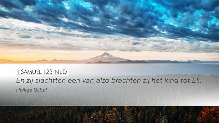 1 Samuël 1:25 NLD Desktop Wallpaper - En zij slachtten een var; alzo brachten zij het - Desktop Bible Verse Wallpaper