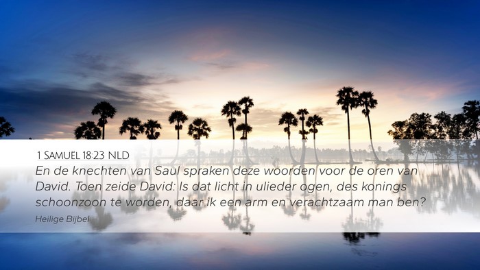 1 Samuël 18:23 NLD Bible Verse Image