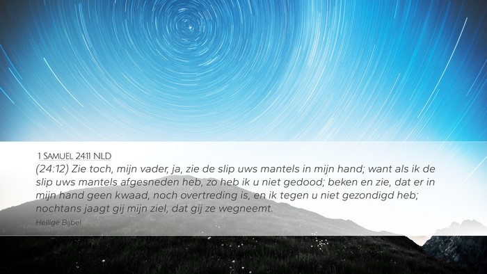 1 Samuël 24:11 NLD Bible Verse Image