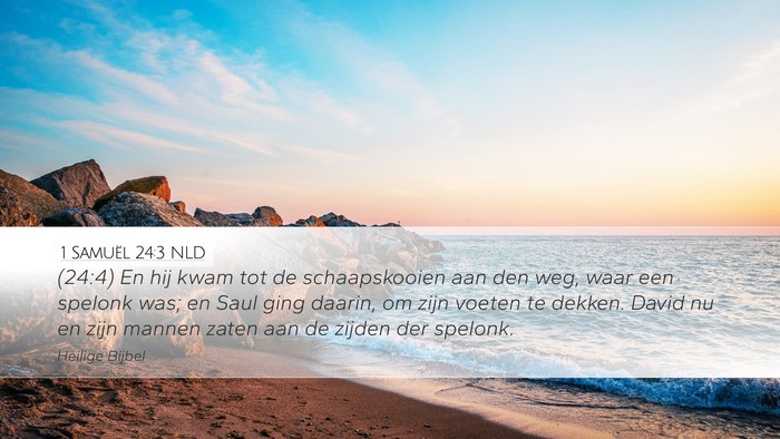 1 Samuël 24:3 NLD Bible Verse Image