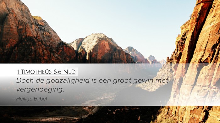 1 Timotheüs 6:6 NLD Bible Verse Image