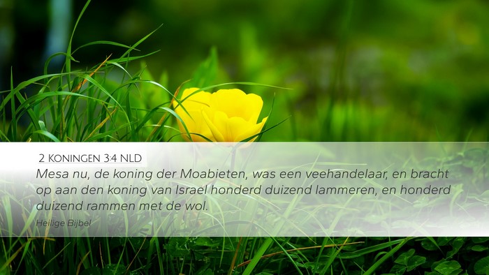 2 Koningen 3:4 NLD Bible Verse Image