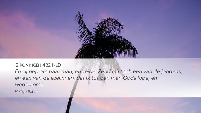 2 Koningen 4:22 NLD Bible Verse Image