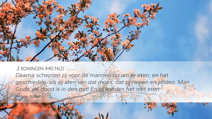 2 Koningen 4:40 NLD Desktop Wallpaper - Daarna schepten zij voor de mannen op om te eten; - Desktop Bible Verse Wallpaper