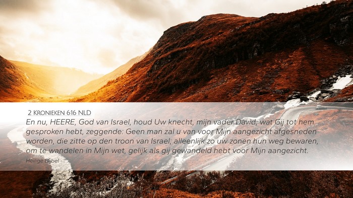 2 Kronieken 6:16 NLD Bible Verse Image