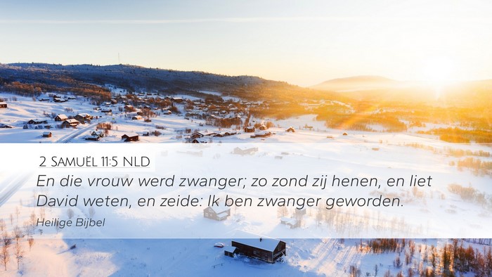 2 Samuël 11:5 NLD Desktop Wallpaper - En die vrouw werd zwanger; zo zond zij henen, en - Desktop Bible Verse Wallpaper