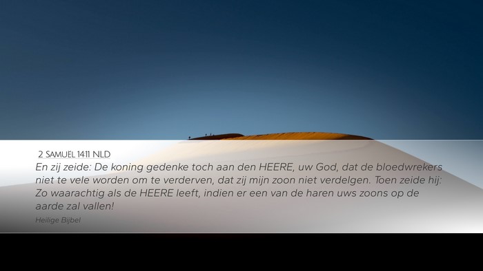 2 Samuël 14:11 NLD Desktop Wallpaper - En zij zeide: De koning gedenke toch aan den - Desktop Bible Verse Wallpaper
