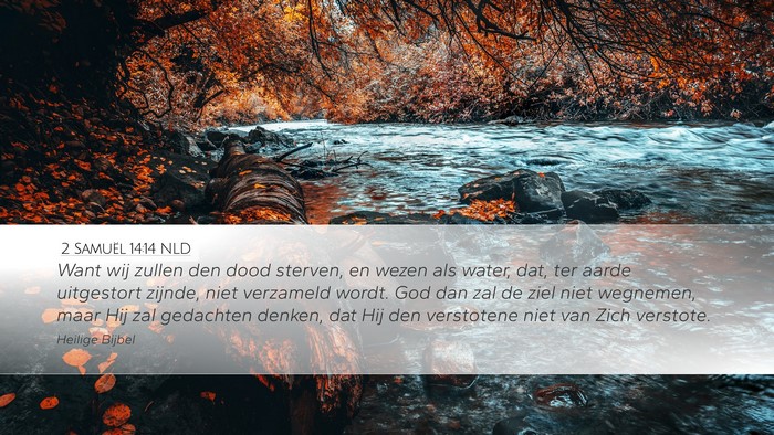 2 Samuël 14:14 NLD Bible Verse Image