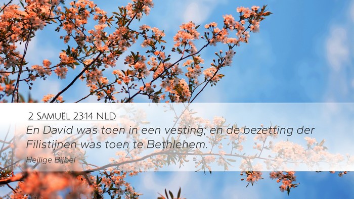 2 Samuël 23:14 NLD Bible Verse Image