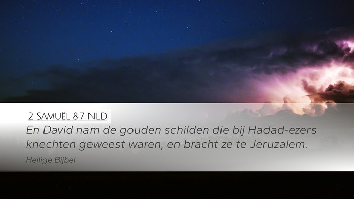 2 Samuël 8:7 NLD Desktop Wallpaper - En David nam de gouden schilden die bij - Desktop Bible Verse Wallpaper