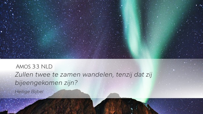 Amos 3:3 NLD Desktop Wallpaper - Zullen twee te zamen wandelen, tenzij dat zij - Desktop Bible Verse Wallpaper