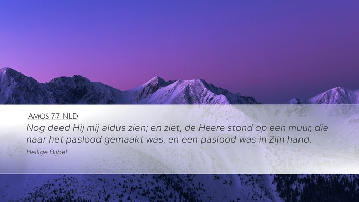 Amos 7:7 NLD Bible Verse Image