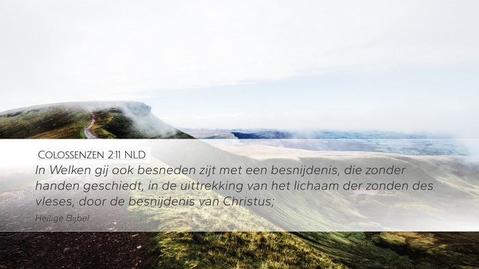 Colossenzen 2:11 NLD Bible Verse Image