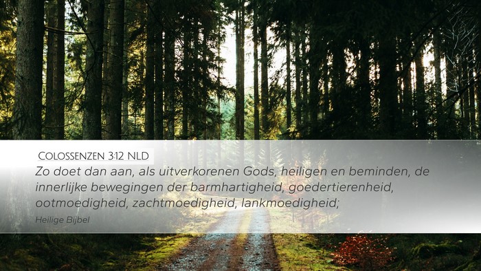 Colossenzen 3:12 NLD Bible Verse Image