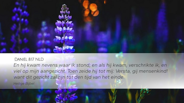 Daniël 8:17 NLD Bible Verse Image
