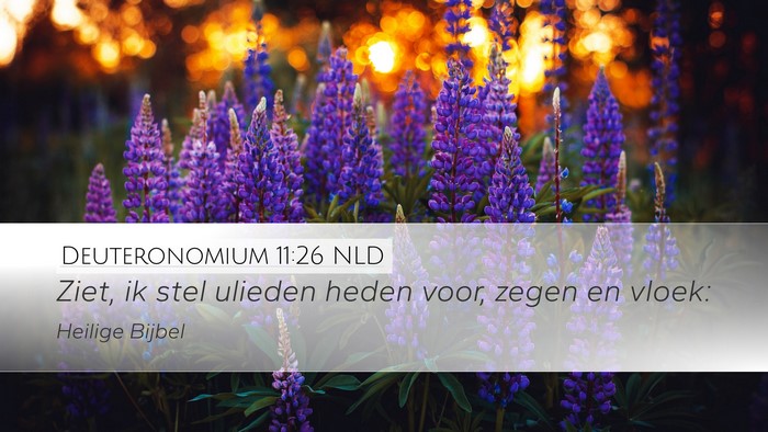 Deuteronomium 11:26 NLD Bible Verse Image