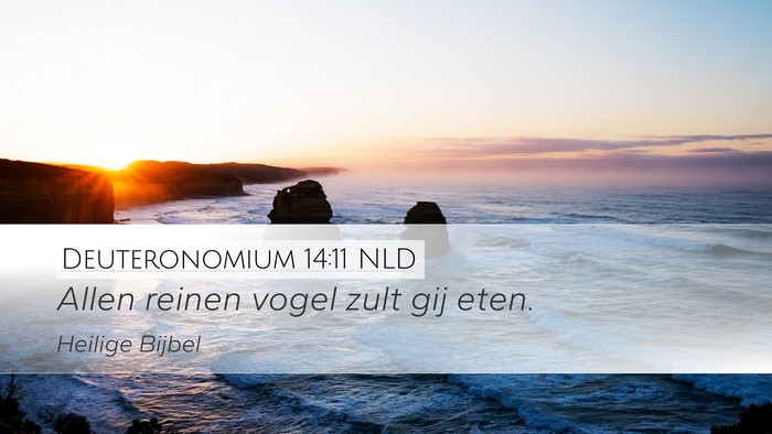 Deuteronomium 14:11 NLD Desktop Wallpaper - Allen reinen vogel zult gij - Desktop Bible Verse Wallpaper