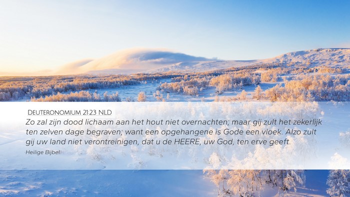 Deuteronomium 21:23 NLD Bible Verse Image