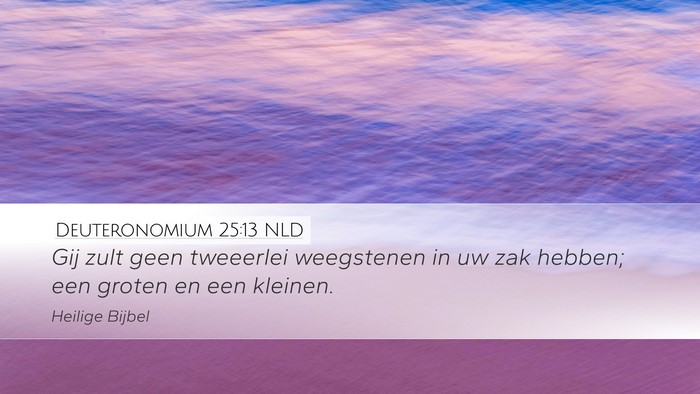 Deuteronomium 25:13 NLD Bible Verse Image