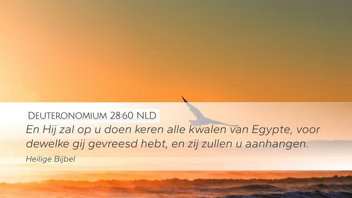 Deuteronomium 28:60 NLD Bible Verse Image