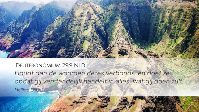 Deuteronomium 29:9 NLD Desktop Wallpaper - Houdt dan de woorden dezes verbonds, en doet ze; - Desktop Bible Verse Wallpaper