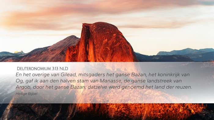 Deuteronomium 3:13 NLD Bible Verse Image