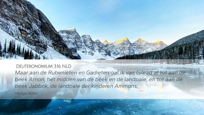 Deuteronomium 3:16 NLD Bible Verse Image