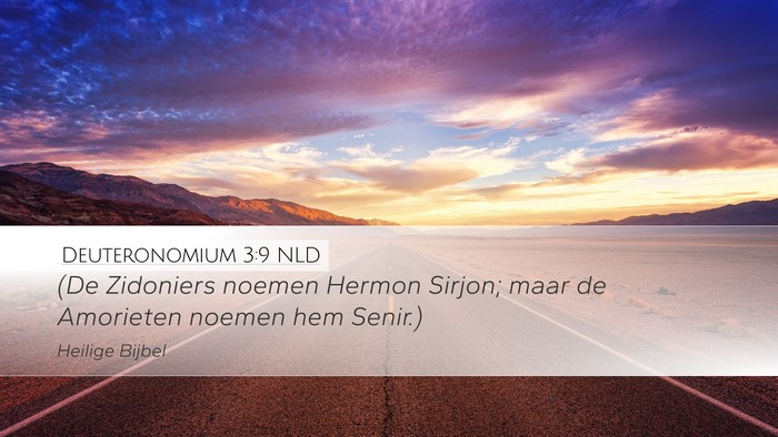 Deuteronomium 3:9 NLD Desktop Wallpaper - (De Zidoniers noemen Hermon Sirjon; maar de - Desktop Bible Verse Wallpaper