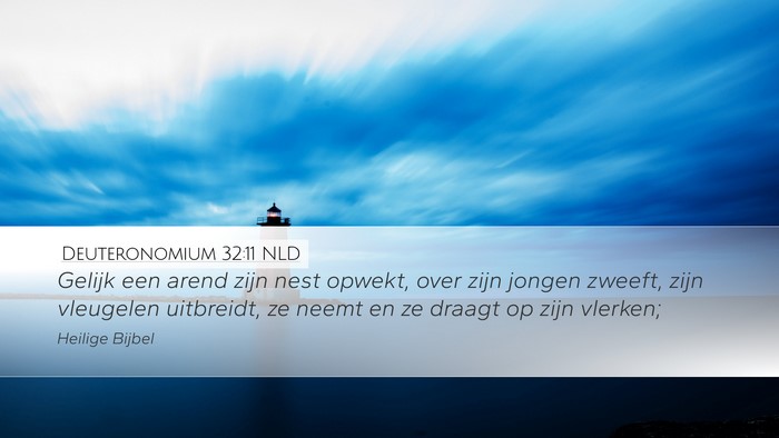 Deuteronomium 32:11 NLD Bible Verse Image