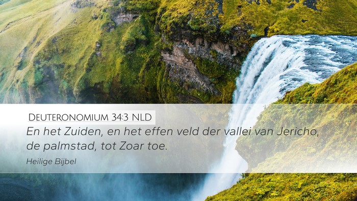 Deuteronomium 34:3 NLD Bible Verse Image