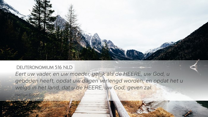 Deuteronomium 5:16 NLD Bible Verse Image