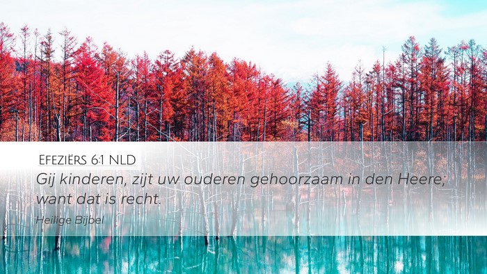 Efeziërs 6:1 NLD Bible Verse Image