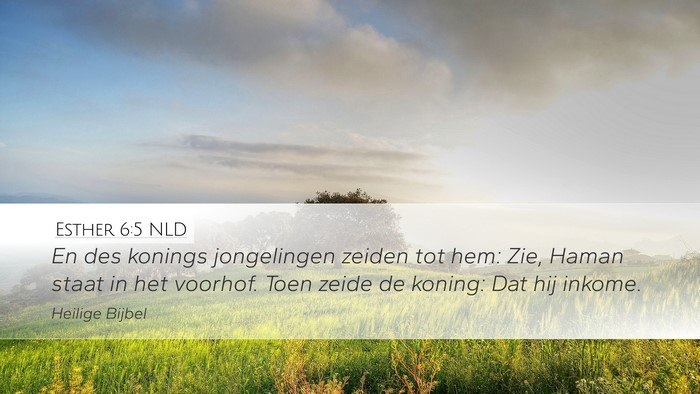Esther 6:5 NLD Desktop Wallpaper - En des konings jongelingen zeiden tot hem: Zie, - Desktop Bible Verse Wallpaper
