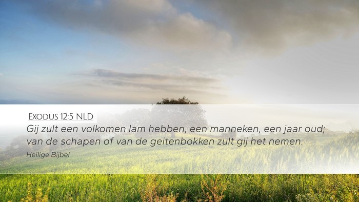 Exodus 12:5 NLD Bible Verse Image